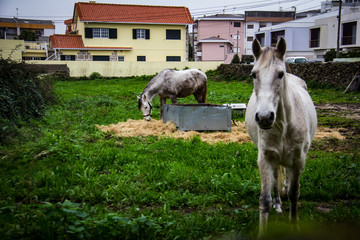 First Stock Photo Submissions
