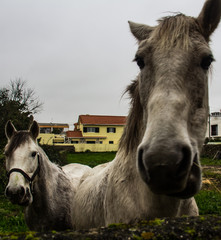 First Stock Photo Submissions