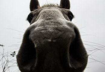 First Stock Photo Submissions