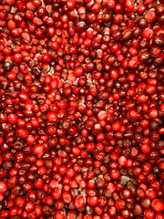 frozen cranberries background, fresh frozen berries