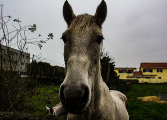 First Stock Photo Submissions