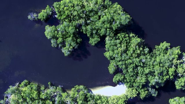 4k aerial of a tropical islands mangrove forest and water coastline with trees and dark water shot at night with hasselblad drone camera