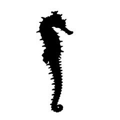 Seahorse icon black silhouette isolated on white background, vector eps 10