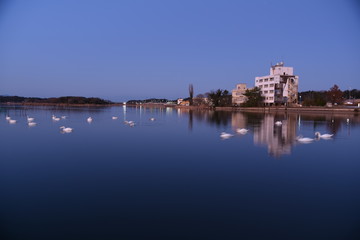 Fototapeta premium 牛久沼