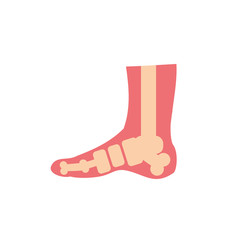 Isolated foot bones icon vector design