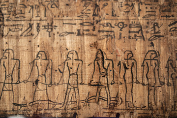Fototapeta na wymiar Papiro egiziano antico