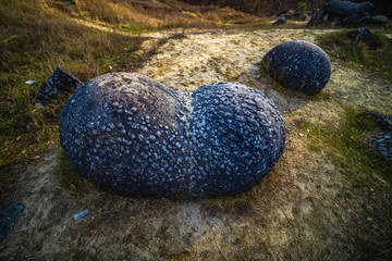 Trovantii – the strangest living stones in Romania.