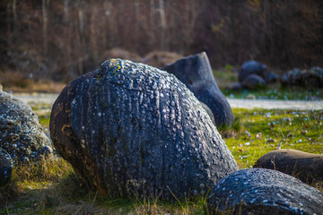 Trovantii – the strangest living stones in Romania.