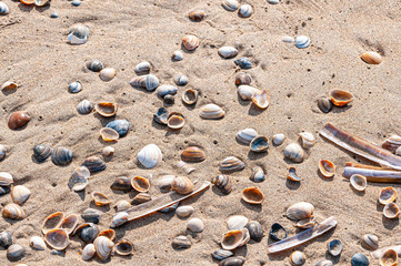 In Holland am Strand und an der Küste