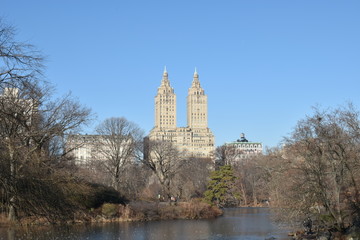 View from central park of buildings and pond