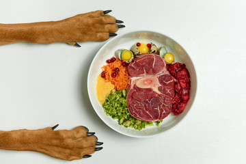 Healthy natural organic dog food BARF diet. Dog's paws by bowl on white background. Raw meat, eggs,...