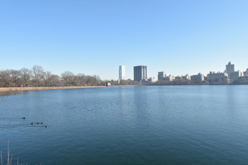 Obraz premium Central park skyline relfection water new york