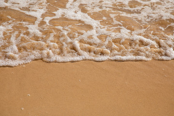 Waves breaking on an empty sand beach and spalsh producing foam - travel holiday vacation summer sun - splashing water - wavy golden yellow sand background - empty space