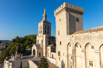 Fototapeta na wymiar Popes Palace in Avignon, Provence, France.