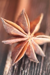 badiane, anis &eacute;toil&eacute;