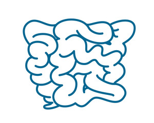 人間の内臓のアイコンイラスト