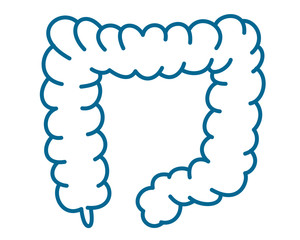 人間の内臓のアイコンイラスト