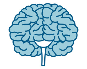 人間の内臓のアイコンイラスト