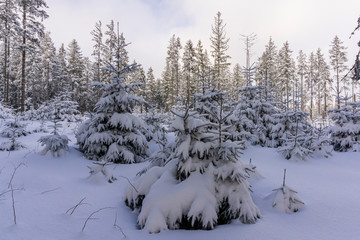 Winter landscape of the Tatra Mountains. Poland.