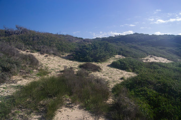 Fototapeta na wymiar Le dune di sabbia di Punta S'Arena
