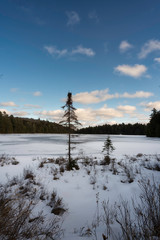 A Winter Landscape From Algonquin Park, Canada.