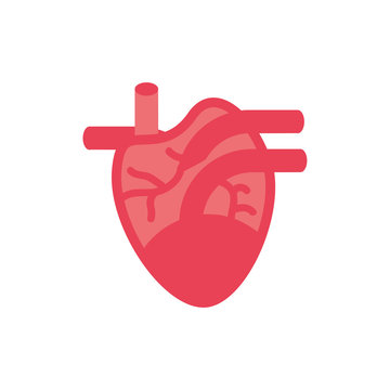 Isolated heart icon vector design