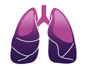 Human internal organs icon illustration