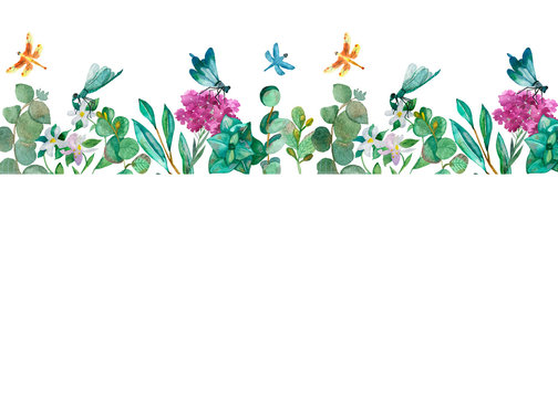 Watercolor hand painted nature floral banner line composition with green eucalyptus leaves and branches, pink flowers, blue and orange dragonfly insects on the white background with the space for text
