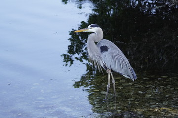 A peaceful walk into our local nature preserve