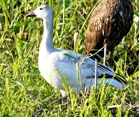 A peaceful walk into our local nature preserve