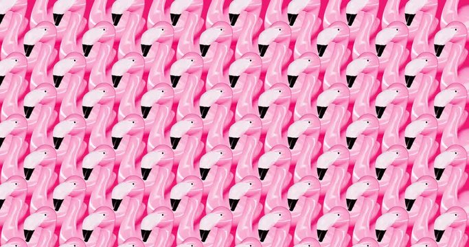 Animation pattern design. Flamingo background minimal