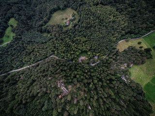 Aerial Shot of a forest and hiking trail in the Principality of Liechtenstein