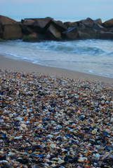 Shells on the beach