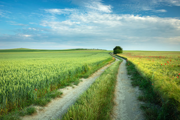 A long country road through fields with green and yellow grain and sky