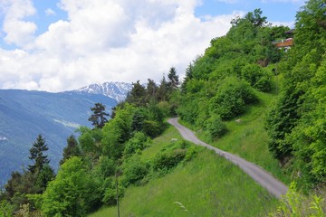 Wanderweg und Fahrweg