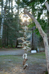 Hanging ornament of drift wood