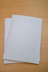 Blank brochure form with a clear title page for your project