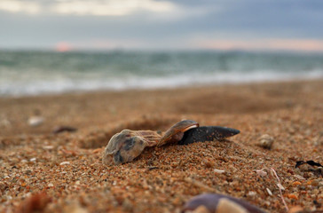 Evening on the beach