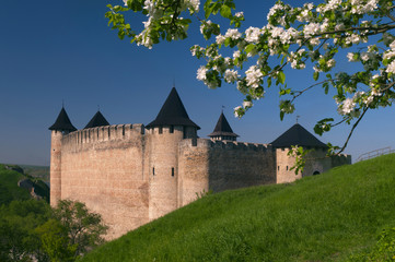 Fototapeta na wymiar Khotyn Fortress framed by a flowering tree