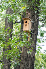 Wooden birdhouse hangs on a tree trunk among the leaves
