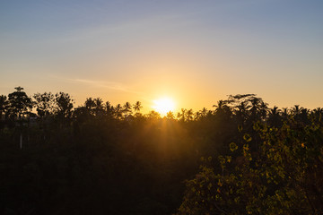 Fototapeta na wymiar Sunrise sky over the famous Campuhan Ridge Walk in Ubud, Bali, Indonesia