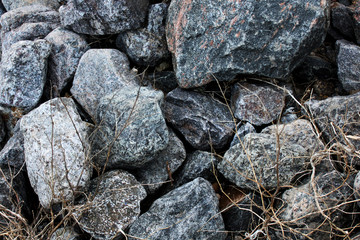 Sea large gray stones and dry branches close-up. Beautiful natural background with stones