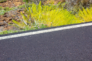 Carretera de montaña