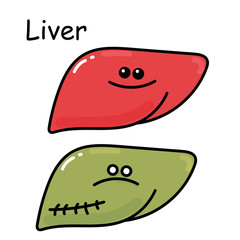 stock illustration internal organ liver comparison healthy and diseased organ. doodle cartoon style isolated on white background for children medical theme