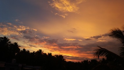 Fototapeta premium sunset