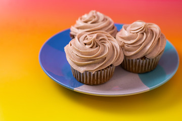 Cupcakes on a colorful background