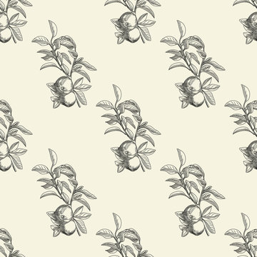 Apples seamless pattern in modern style. Hand draw fruit texture.