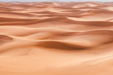 Sand Dune in the Sahara / In the Sahara Desert, sand dunes to the horizon, Morocco, Africa.