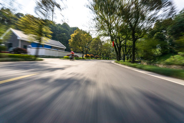 road in park