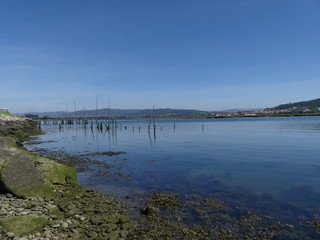 portugal rio lima viana do castelo